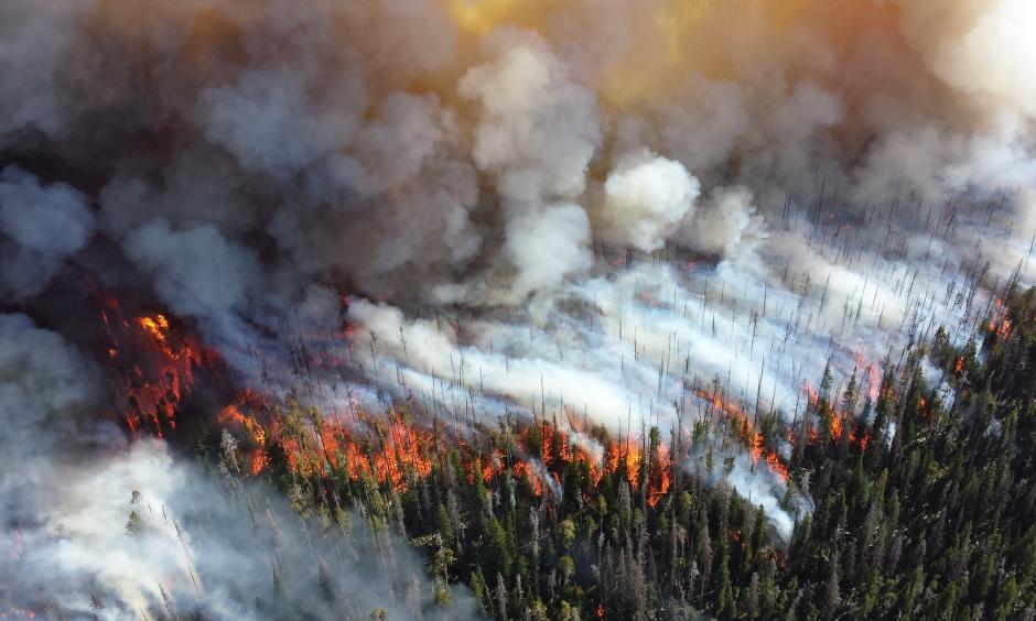 The Alder Fire burns in Yellowstone National Park in 2013. Image: Mike Lewelling / National Park Service