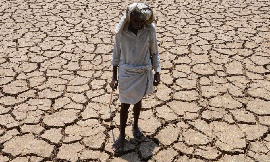 An Indian farmer poses in his dried up cotton field at Chandampet Mandal in Nalgonda east of Hyderabad on April 25, 2016, in the southern Indian state of Telangana. Photo: AFP