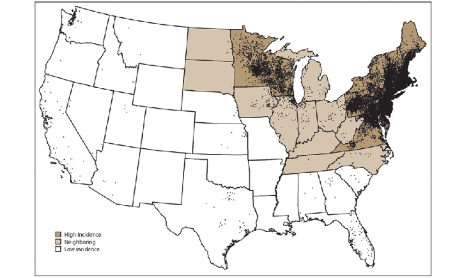 Average annual Lyme cases from 2008-2015, by county. Each dot represents one confirmed case. Image: CDC