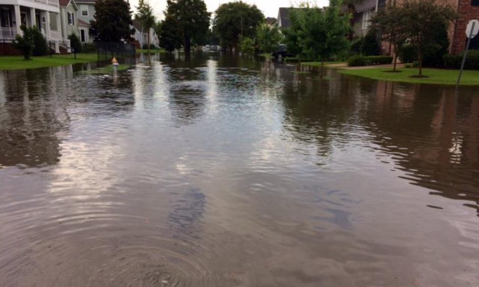 Vicksburg and Polk Streets in Lakeview. Photo: WGNO Web Desk