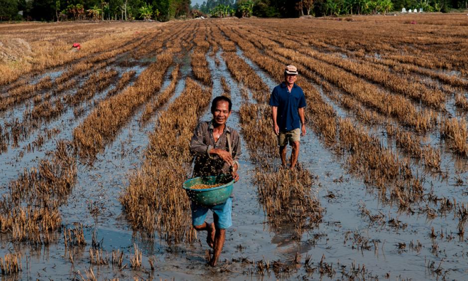 Men in a rice field in Vietnam. Photo: Georgina Smith, CIAT