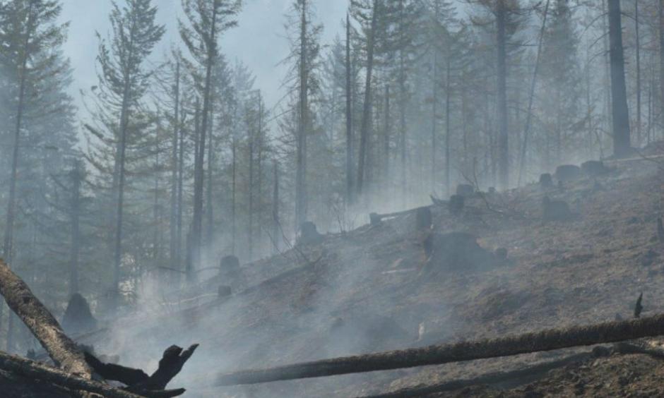 Courtesy of the state Department of Natural Resources A smoldering landscape remains in the wake of the Gold Rush Fire, which burned about 60 acres in western Skamania County, several miles from Dougan Falls. The fire was 100 percent contained by Sunday.