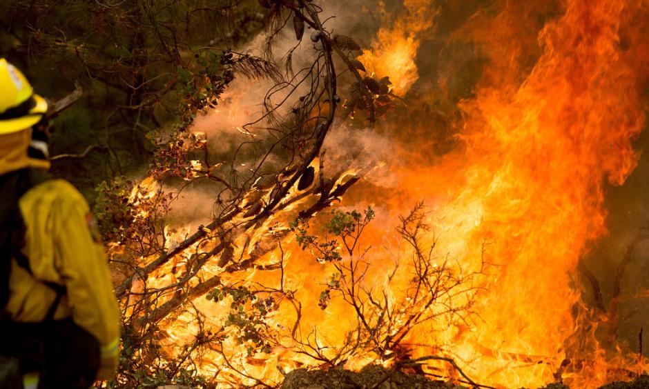 A firefighter battles a wildfire near Morgan Hill, Calif., on Wednesday, Sept. 28, 2016. Photo: Noah Berger