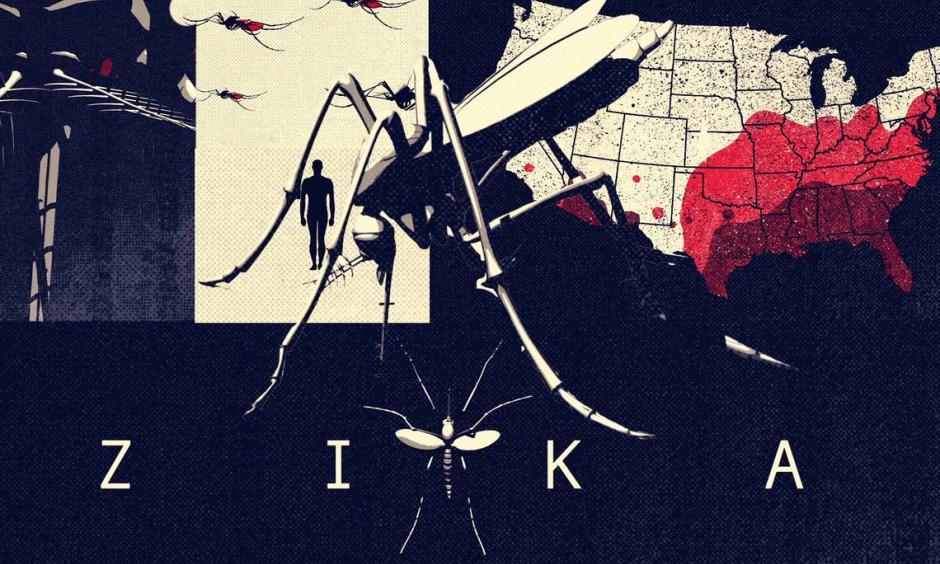 The mosquito kills nearly 750,000 people each year. Malaria is the cause for the majority of these deaths, but a Zika outbreak has the Americas scared of this insect. This is how the insect spreads disease to its victims. Image: Sohail Al-Jamea, Meta Viers McClatchy