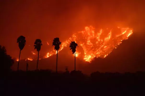 Palm trees are silhouetted by flames from the Thomas Fire, which had charred an estimated 25,000-30,000 acres north of the city of Santa Paula in Ventura County Monday night. (Ryan Cullom / Ventura County Fire Department photo)