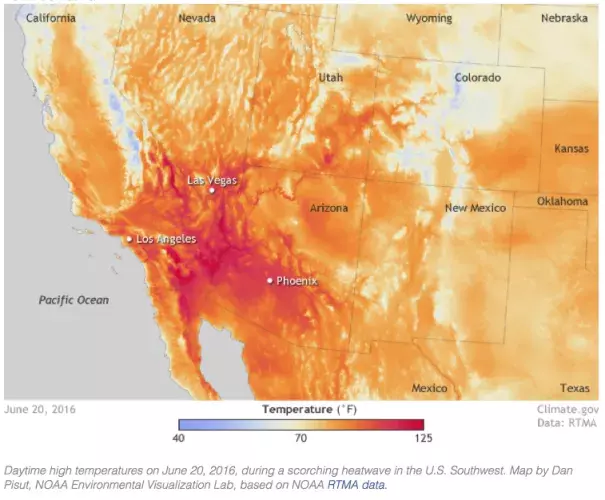 surface temperature map