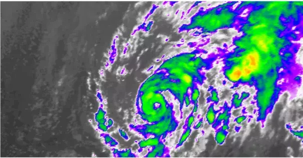 Satellite view of Subtropical Storm Alex. Image: NOAA