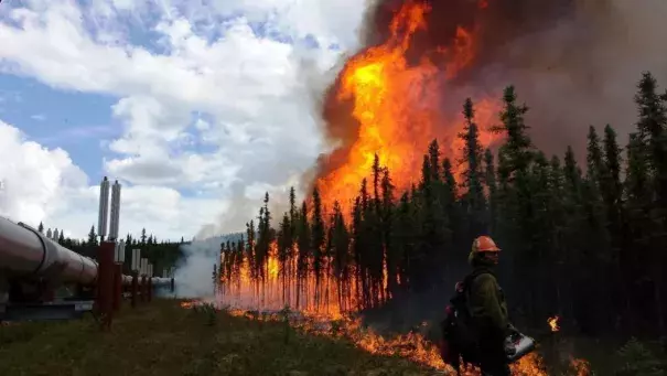 The Aggie Creek fire burns along the Trans-Alaska Pipeline in June. Photo: USDA/ flickr