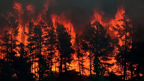 western wildfire season