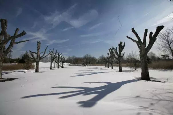Scenic New Jersey after the weekend winter storm, Grounds For Sculpture in Hamilton. Photo: Michael Mancuso, NJ.com