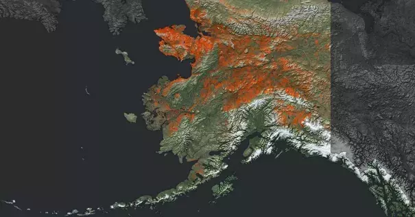 This is what may be lost. Image: New York Times