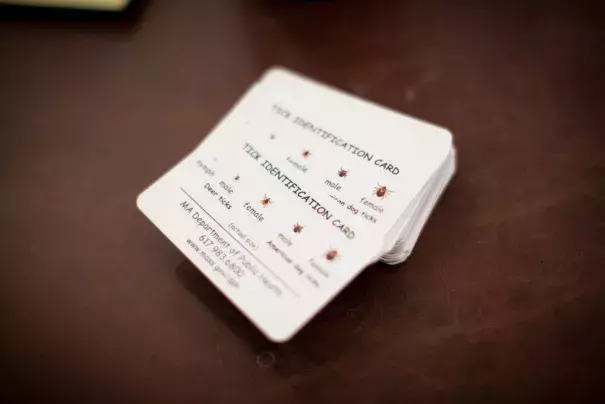 Tick identification cards seen during a meeting about Lyme disease at the Dover Town Hall in Dover, Mass. (Credit: Dina Rudick/The Boston Globe via Getty Images)