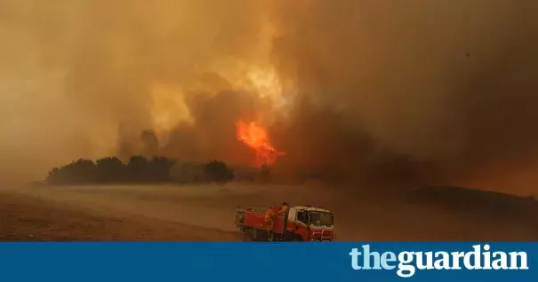 Bushfires in Wagga Wagga, New South Wales. 2014 was Australia’s third hottest year on record. Photo: Brad Newman/Newspix/REX