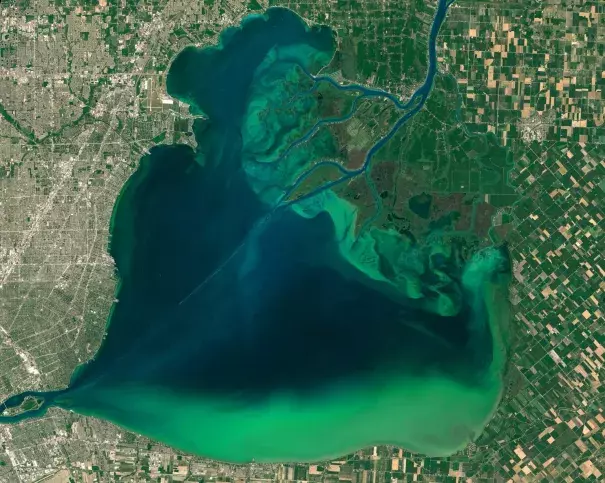 An image captured by Operational Land Imager on the Landsat 8 satellite of algal blooms around the Great Lakes, visible as swirls of green in this image of Lake St. Clair and in western Lake Erie. Photo: EPA/NASA /Goddard’s MODIS Rapid Response Team
