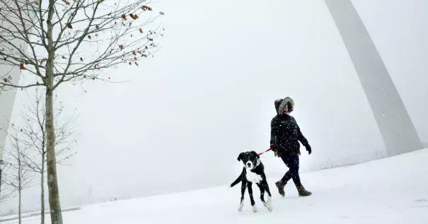 Patti White walked her dog Elwood around the Gateway Arch in St. Louis on Sunday. Blowing snow snarled travel across Kansas and Missouri as a winter storm made its way eastward. Credit: Colter Peterson, St. Louis Post-Dispatch, via Associated Press