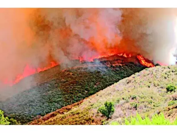 Some Santa Clarita Valley residents who live in neighborhoods evacuated during the Sand fire say they did not receive emergency phone calls notifying them of mandatory evacuations, although they had signed up for them. Photo: Katharine Lotze, File Photo