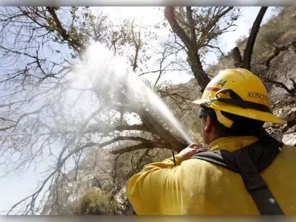 Jake Koschik of Mendocino sprays down hot spots on a tree off Soledad Canyon Road and Agua Dulce Canyon Road in Acton as multiple fire agencies work on a controlled burn in the area on Tuesday. Photo: Katharine Lotze