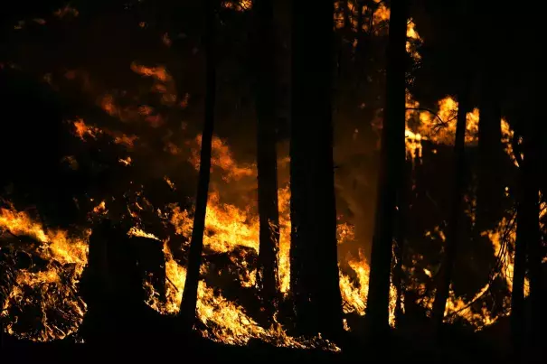 A wildfire chews through fuel in Conconully, threatening houses and prompting a level three evacuation Friday August 21, 2015. Photo: Bettina Hansen / The Seattle Times