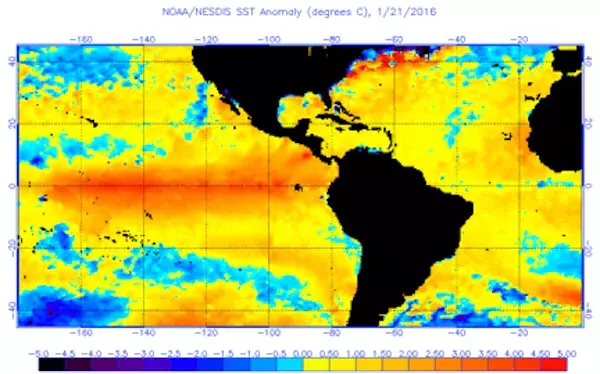 the wide view of anomalies that includes the Gulf and much of the Atlantic