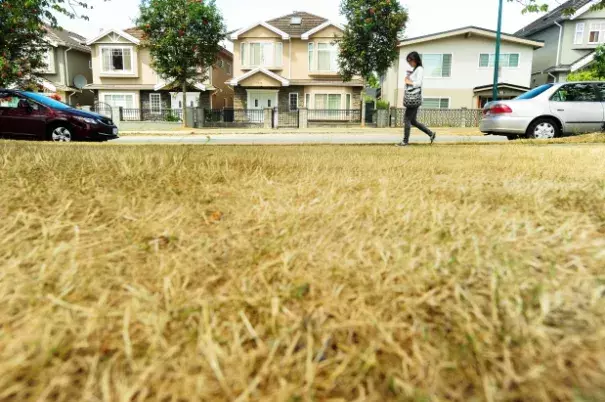 Record-breaking temperatures and extremely low rainfalls across Western Canada are causing chaos for farmers and firefighters this summer as they grapple with the worst drought in more than a decade. Photo: Jason Payne