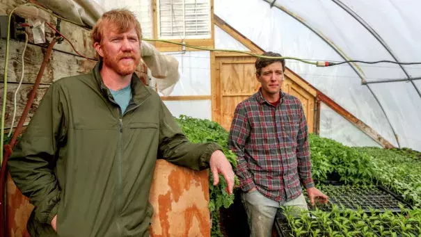 Rick Dalen (left) with Northern Harvest Farm and Adam Kemp with Uff-da Organics and Northern Harvest Farm talk about sustainable farming practices in a greenhouse at Northern Harvest Farm near Wrenshall. Photo: Clint Austin
