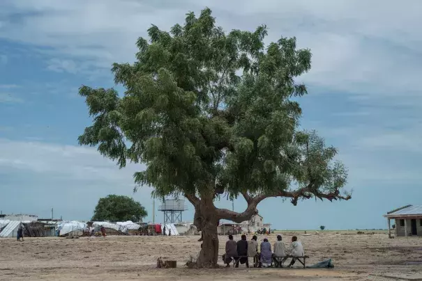 Men sit in the shade of a tree in north-east of Nigeria. (Credit: Stefan Heunis/AFP/Getty Images)