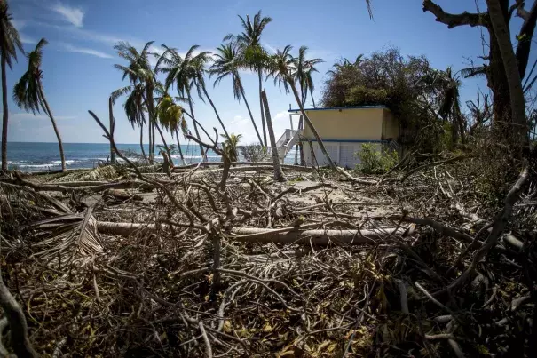 Plant debris sits outside of the damaged Caribe Playa Beach Resort after Hurricane Maria in Patillas, Puerto Rico, on Oct. 6. Photo: Xavier Garcia, Bloomberg