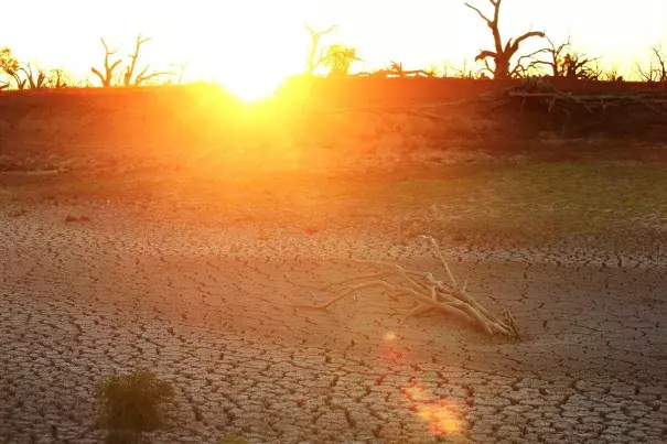 Extreme heat caused by climate change