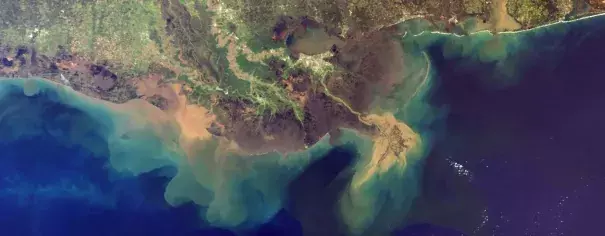 The Mississippi River Delta. Photo: NASA