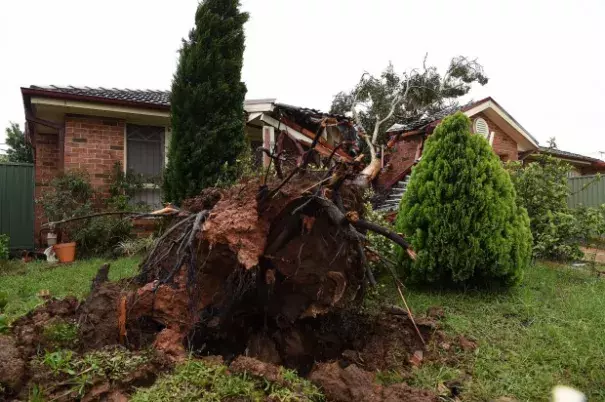 Sydney cleans up after a scorching 40-degree day was swept away by ferocious storms. Photo: Kate Geraghty 