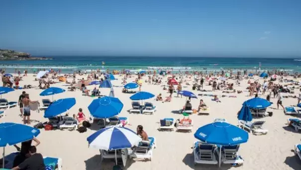 Some like it hot: NSW state records were swept away in latest heatwave. Photo: Jessica Hromas