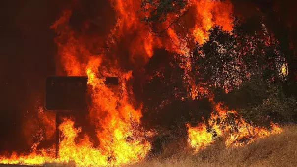 Flames from the Carr Fire burns through trees along highway 299 on July 27, 2018 near Whiskeytown, California. Photo: Justin Sullivan, Getty Images