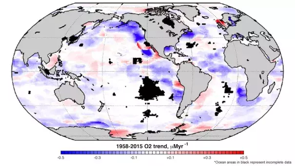 Much of the ocean is seeing sharp drops in oxygen levels (purple). Photo: Georgia Tech