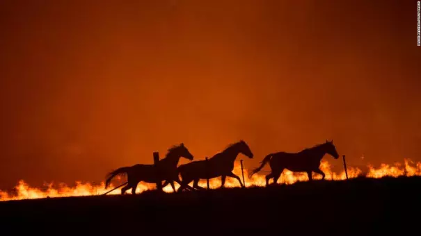 Climate change made the 2019-2020 bushfire season in Australia worse 