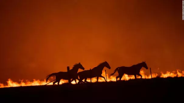 Climate change made the 2019-2020 bushfire season in Australia worse