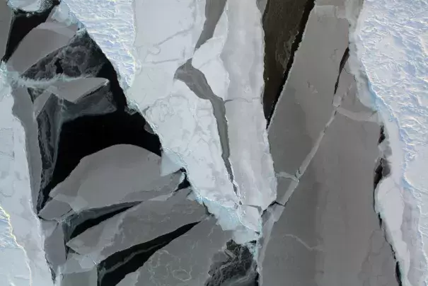 Arctic sea ice from a recent Operation IceBridge aerial survey. Photo: NASA