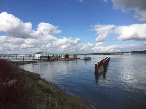 Broughton Beach on the Columbia River in Oregon experiences minor flooding on March 16, 2017. Photo: Courtesy of NWS Portland