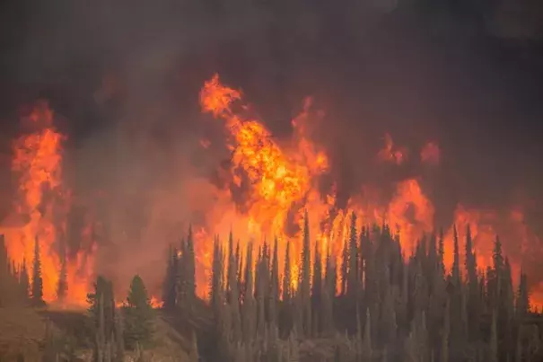 Boise National Forest. Photo: U.S. Forest Service