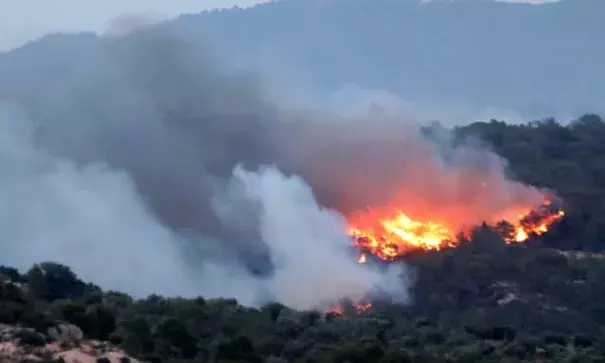 The forest fire burning in the municipality of Ribera d’Ebre, in Tarragona, Catalonia. Credit: Jaume Sellart/EPA
