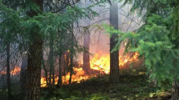 Whitewater Fire. Photo: Willamette National Forest 