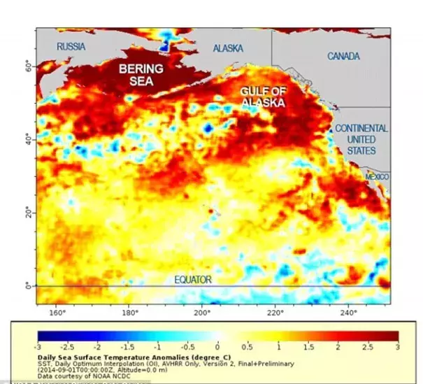 A blob of warm water 2 000 miles across is sitting in the Pacific. Photo:  NOAA, NCDC