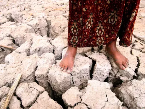 An Iraqi girl stands on former marshland, drained in the 1990s because of politically motivated water policies. Photo: Essam Al-Sudani, AFP, Getty Images