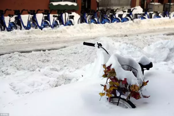 A snow covered bicycle is stuck in a snow bank on the the Lower East side, a day after winter storm Jonas hit New York  Photo: EPA
