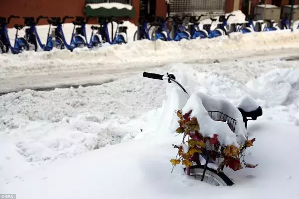 A snow covered bicycle is stuck in a snow bank on the the Lower East side, a day after winter storm Jonas hit New York Photo: EPA