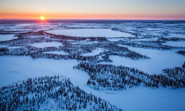 A lack of snow in south central Alaska forced race organisers to move the Iditarod dog sled race north. Photo: Loren Holmes,AP