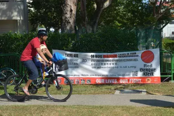 A man cycles past a dengue alert banner. Photo: Singapore Times