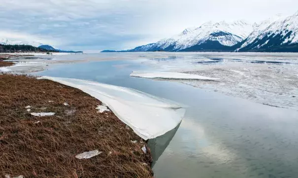 Melting ice on the Chilkat river near Haines, Alaska, in January 2016. This winter scientists said the Arctic freeze stalled early on, across the polar seas. Photo: Michele Cornelius, Alamy