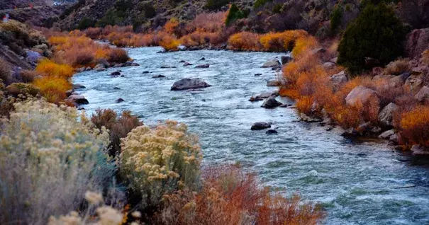 The Rio Grande as it flows south near Taos, New Mexico. The river begins in south-central Colorado and flows through New Mexico before entering Mexico and spilling into the Gulf of Mexico. Runoff into the Rio Grande this year is expected to be low. Photo: Robert Alexander, Getty Images