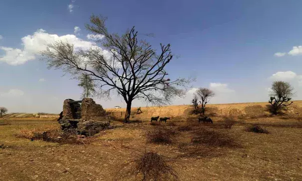 Scorched land on the outskirts of Jaipur, Rajasthan. The desert state recorded India’s hottest ever temperature of 51C on 19 May. Photo: Guardian