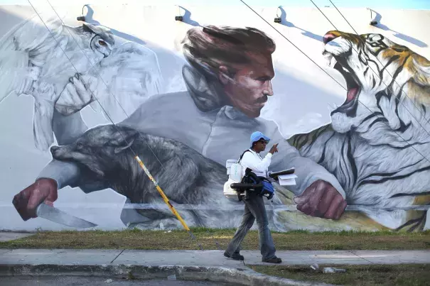 Sharon Nagel, a Miami-Dade County mosquito-control inspector, walks through the Wynwood neighborhood looking for mosquitoes or breeding areas. Photo: Joe Raedle, Getty Images